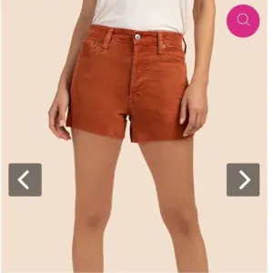 AG Corduroy Shorts