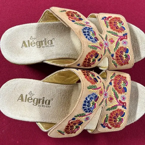 ALEGRIA SLIDES
