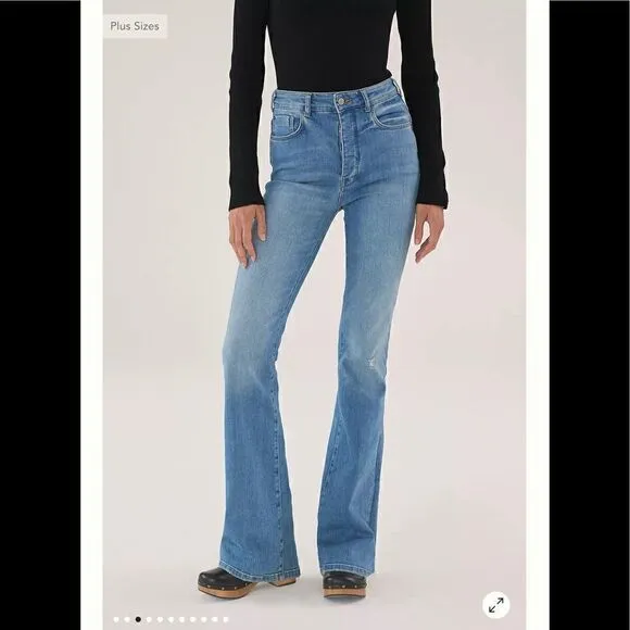 Anthropologie Pilcro The Icon Flare Jeans
