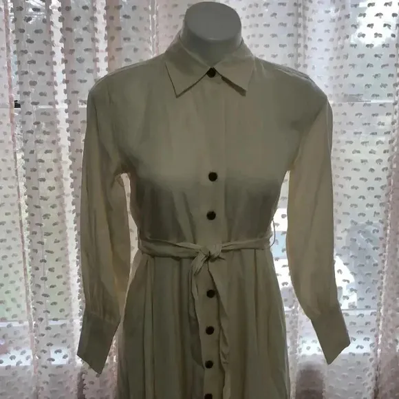Banana Republic Belted Tencel Shirtdress