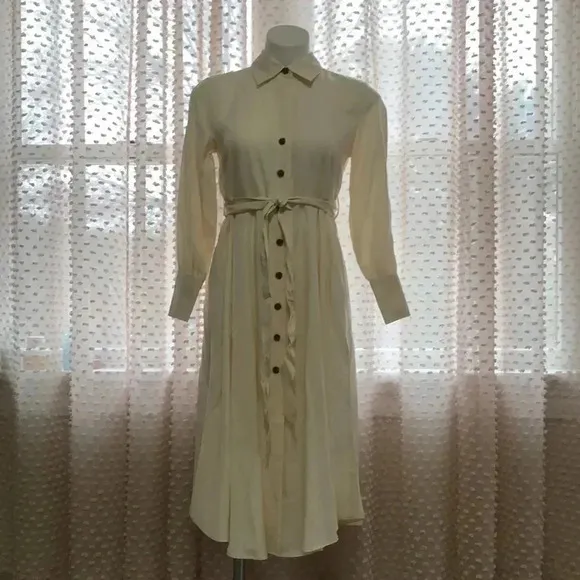 Banana Republic Belted Tencel Shirtdress
