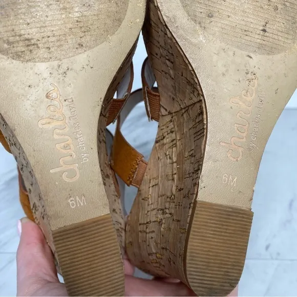 Charles David Cork Wedge Heel Sandal 6M