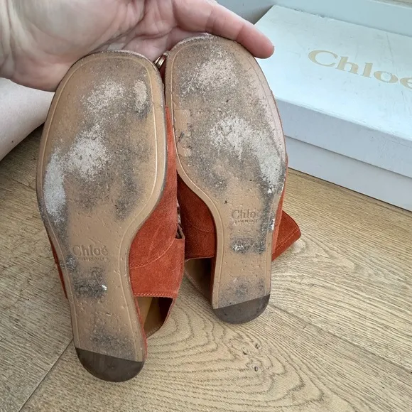 Chloe Gladiator Sandals