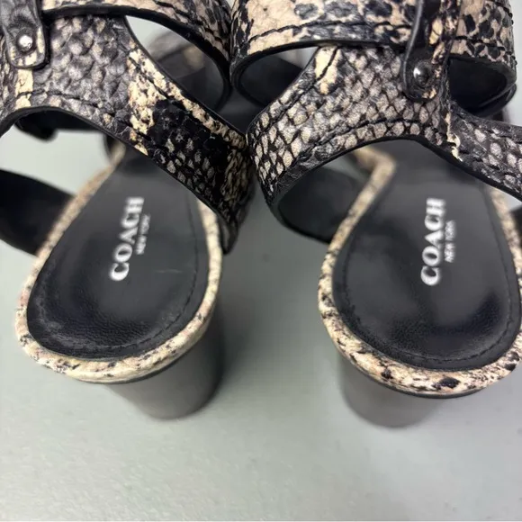 Coach Pipher Women's Heels Sandals 6.5B Black Snake Print Ankle Buckle Block