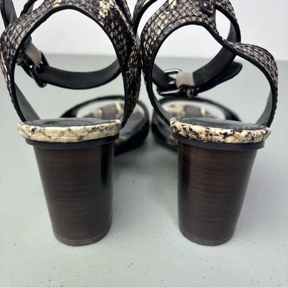 Coach Pipher Women's Heels Sandals 6.5B Black Snake Print Ankle Buckle Block