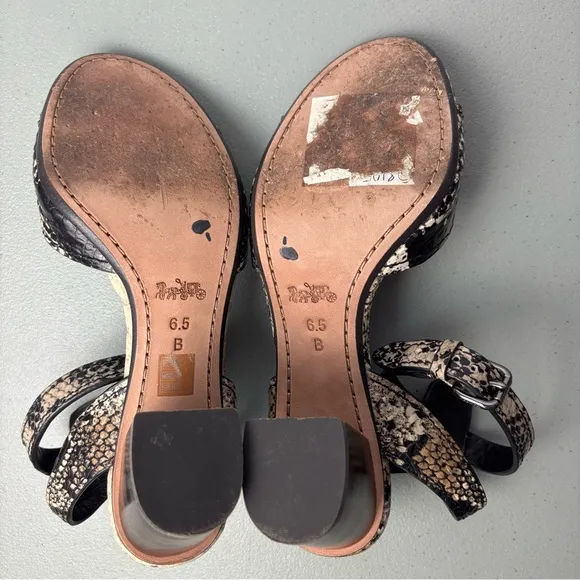 Coach Pipher Women's Heels Sandals 6.5B Black Snake Print Ankle Buckle Block