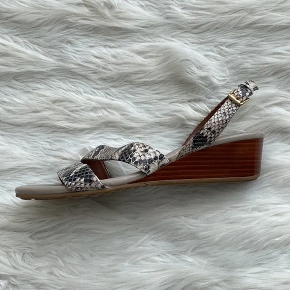 Cole Haan | Snake Print Wedge Sandals