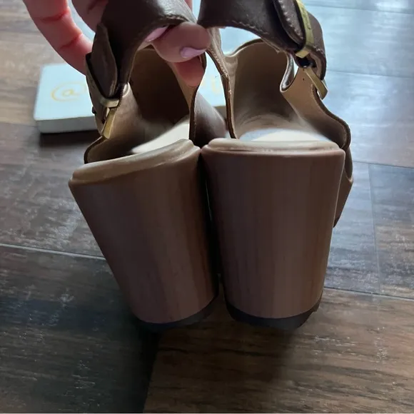 Dr. Scholl's Brown Sandals with Block Heel NWOT