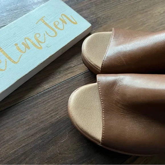 Dr. Scholl's Brown Sandals with Block Heel NWOT