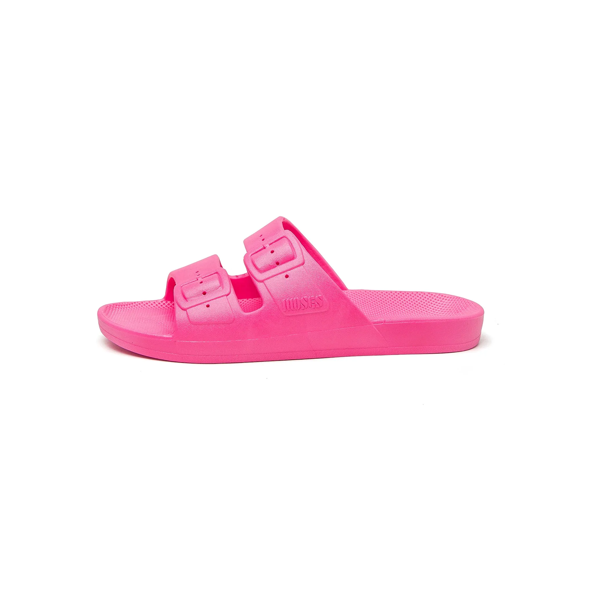 Freedom Moses Slides