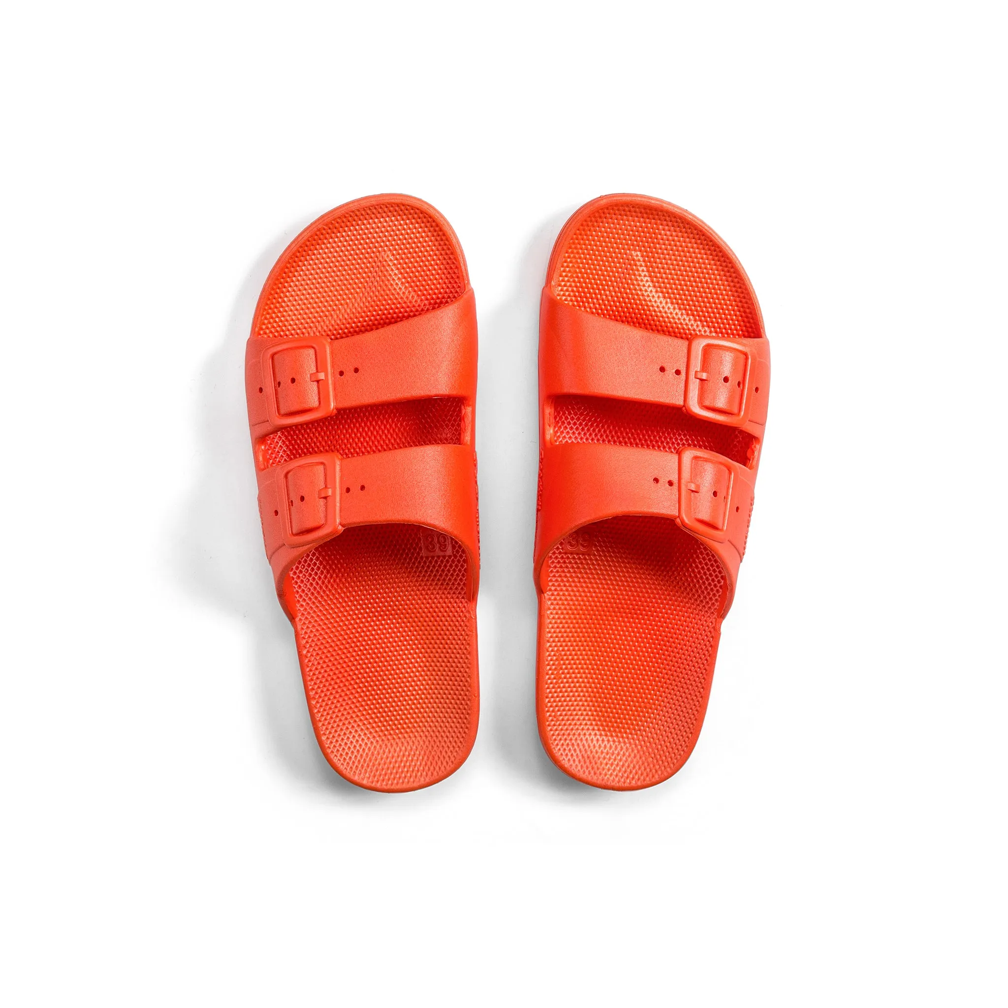 Freedom Moses Slides