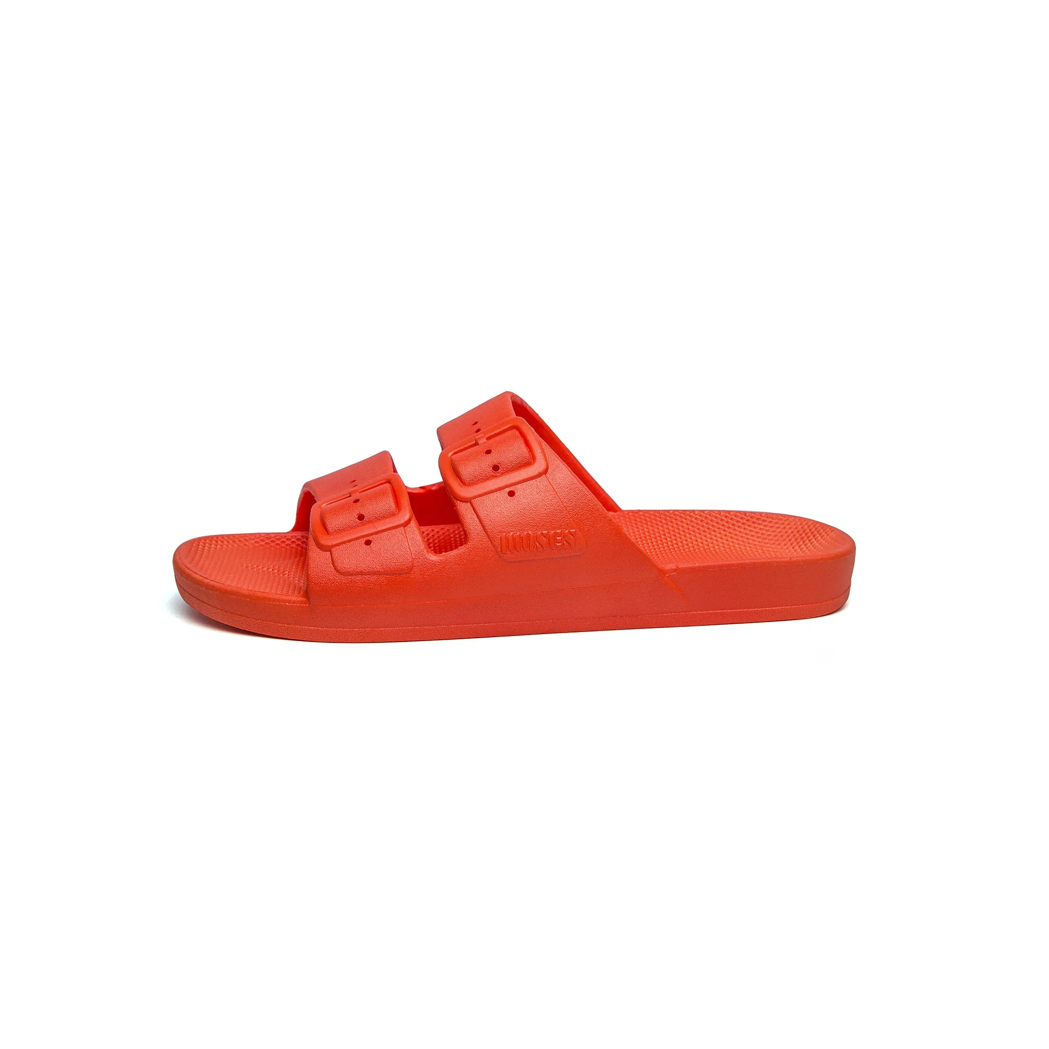 Freedom Moses Slides
