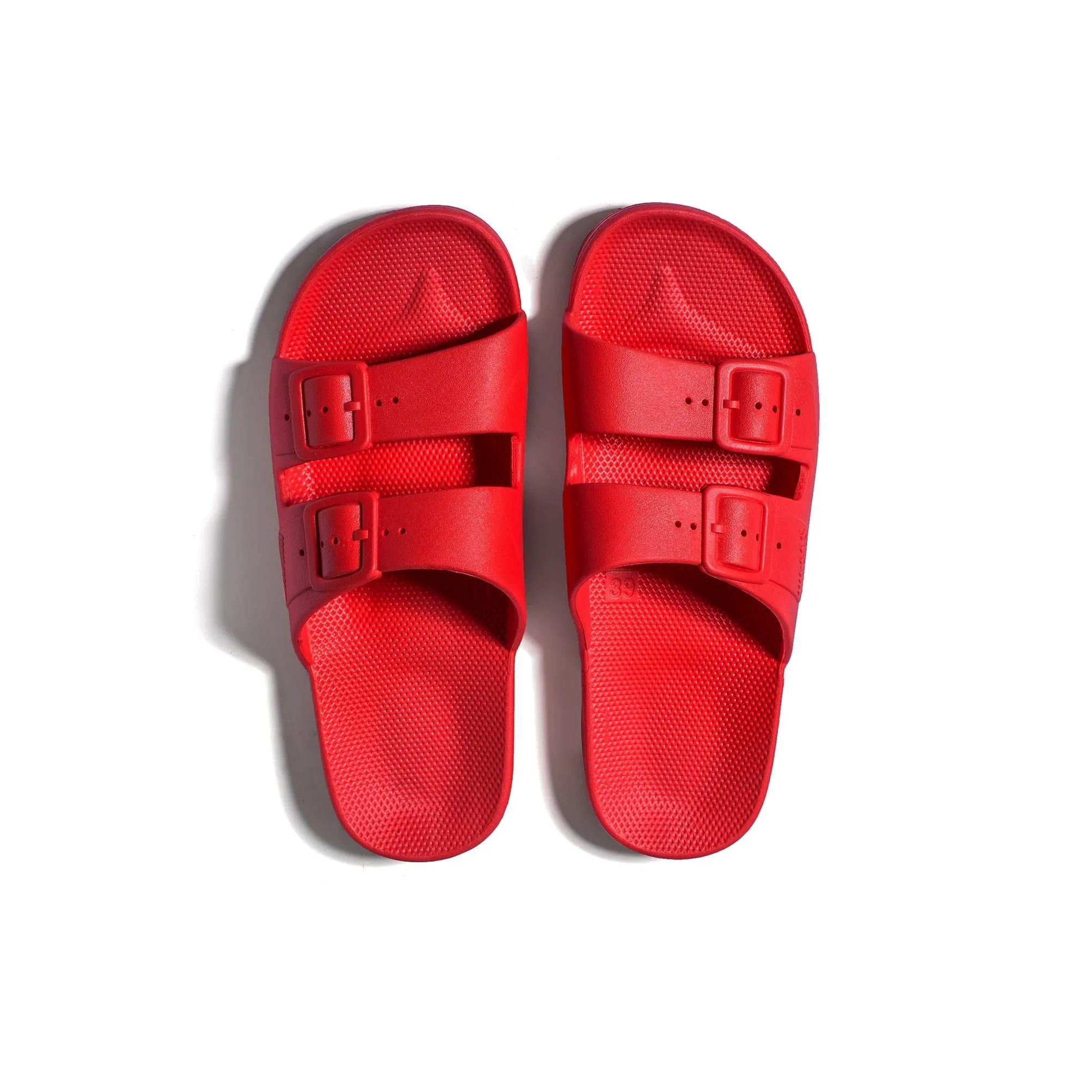 Freedom Moses Slides