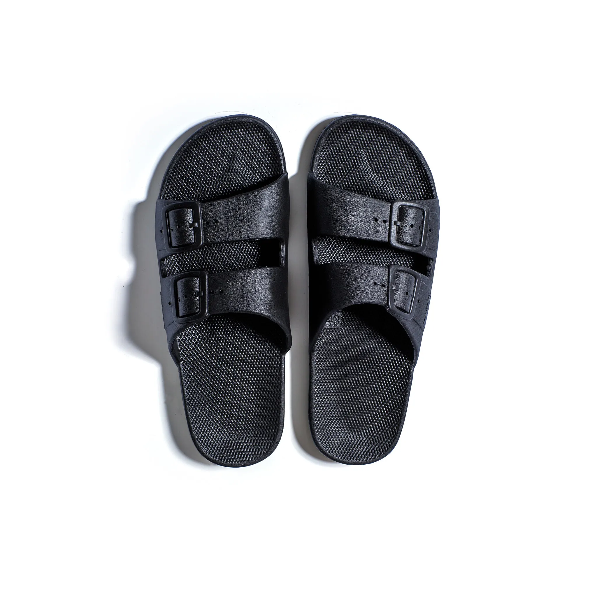 Freedom Moses Slides