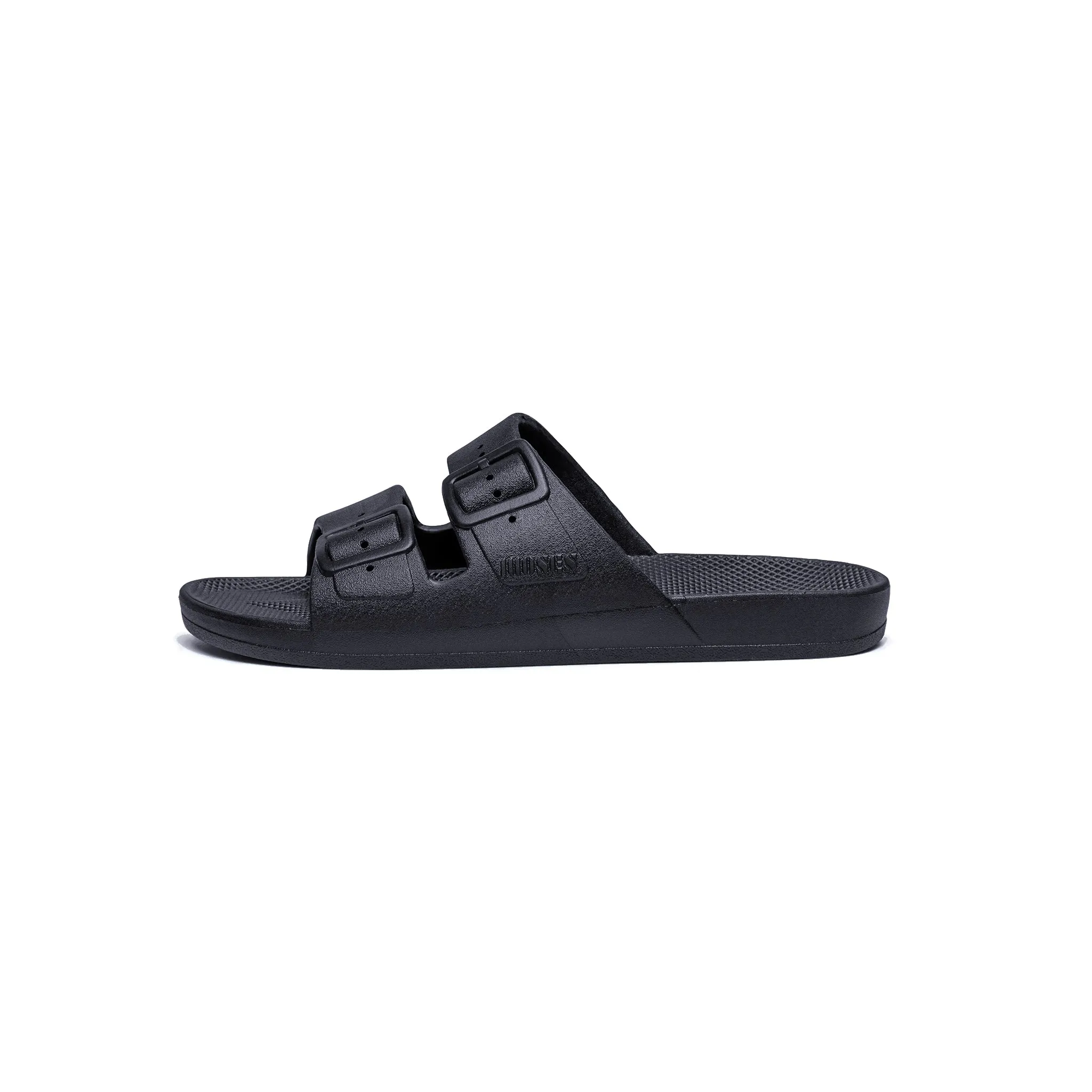 Freedom Moses Slides