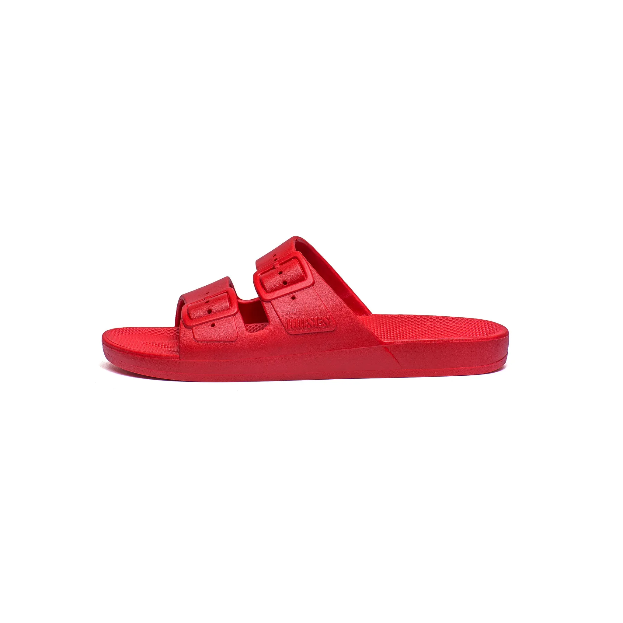 Freedom Moses Slides