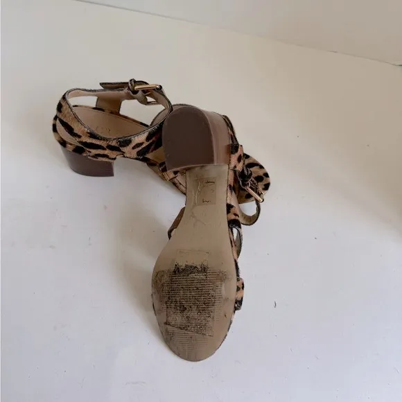J. Crew Animal Print Sandals Heels Block Size 6