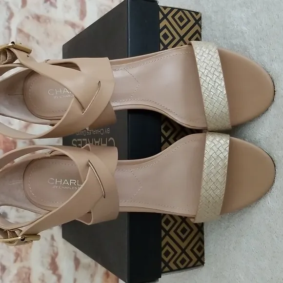 New Charles by Charles David Ringer Sandals