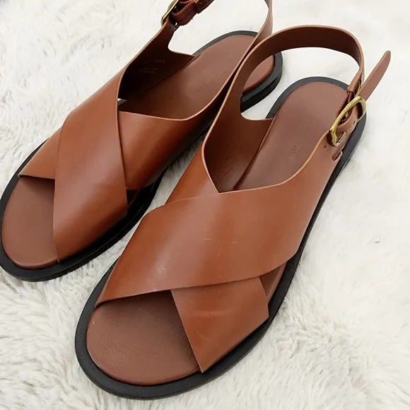 NEW Everlane The City Crossover Brown Leather Sandals