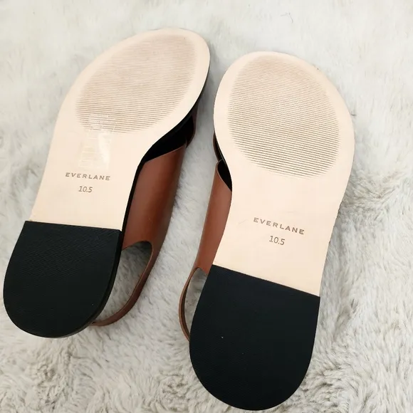 NEW Everlane The City Crossover Brown Leather Sandals