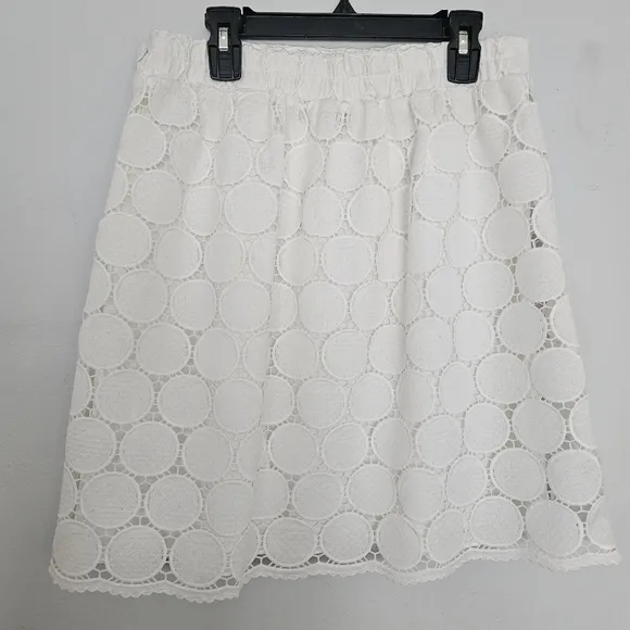 NWT Anthropologie Samia Embroidered Lace Mini Skirt | M