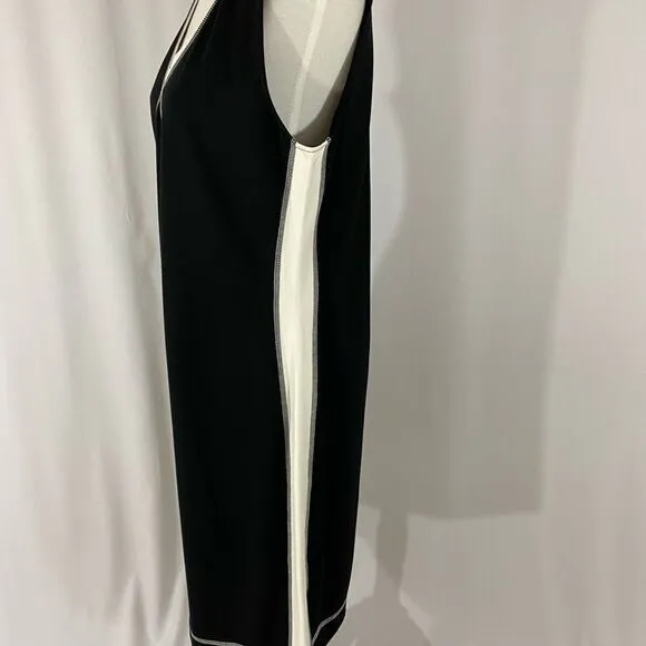 NWT Lynn Ritchie Silver Sleeveless Dress