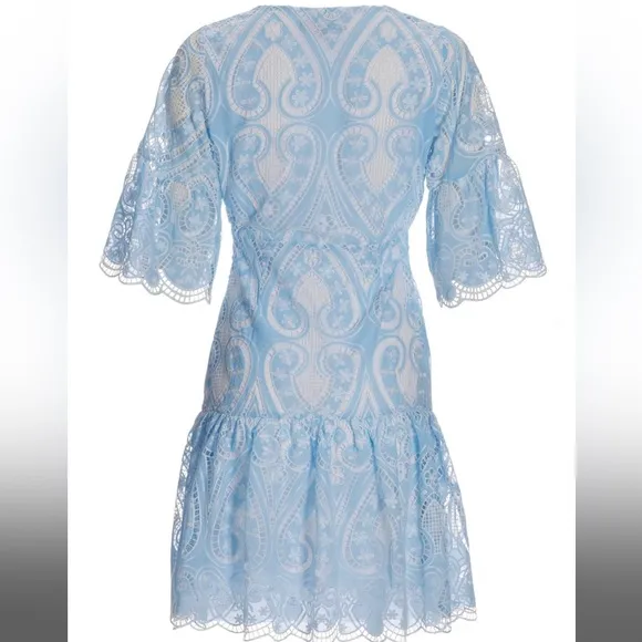 Two Tone Lace Flounce Dress