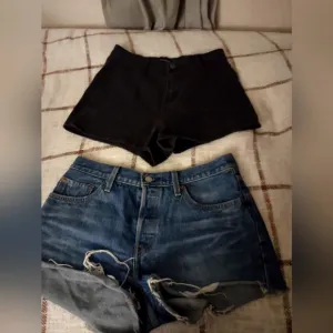 Women shorts